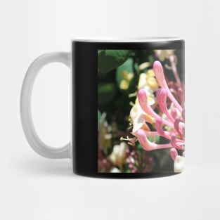 European Honeysuckle Lonicera periclymenum Mug